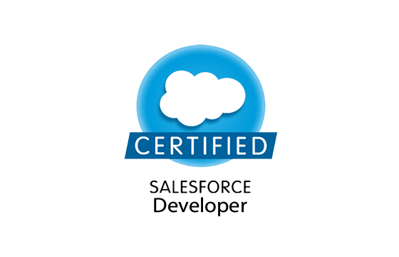 Salesforce Developer