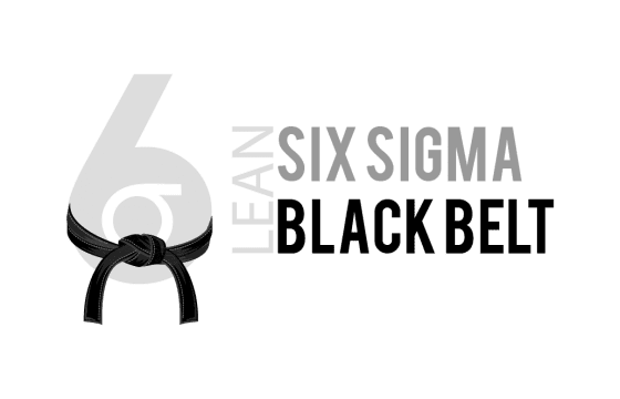 Lean Six Sigma Black Belt